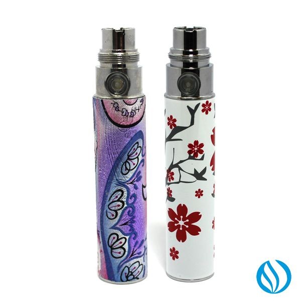 Batterie eGo